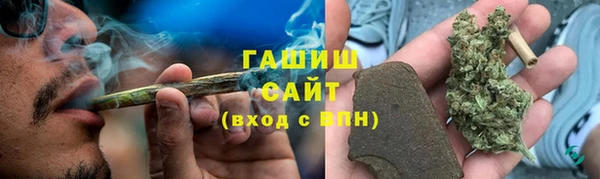 PSILOCYBIN Болотное