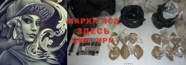 PSILOCYBIN Болотное