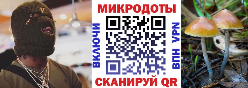 mega вход  Островной  Псилоцибиновые грибы Magic Shrooms  что такое  